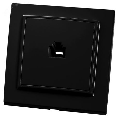 Розетка компьютерная 1-местная RJ-45, серия Эрна, PST00-9007-03, черный | 39475 STEKKER FERON PST00-9007-03