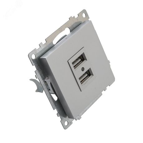 Зарядное устройство / USB-розетка (механизм), GLS10-7115-03, серебро | 39588 STEKKER FERON