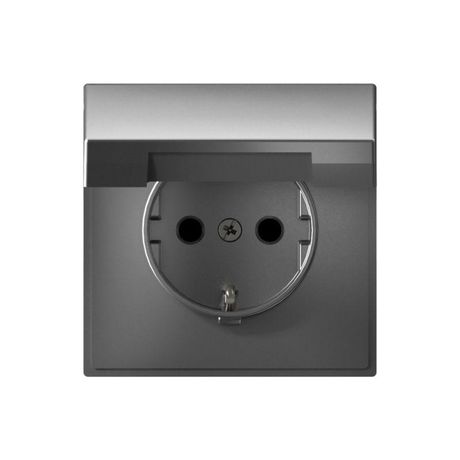 Розетка ArtGallery 16А IP20 с заземл. защ. шторки крышкой механизм сталь SE GAL000946 APC