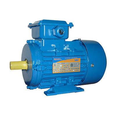 Электродвигатель (5АИ) 71 В2 1,1кВт 3000 об./мин. IM 1081 (лапы) | 01.01.213626 Элком ОРЛАН