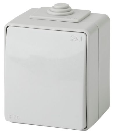 Выключатель 1-кл. ОП Эра Эксперт 10А IP65 11-1601-03 250В 10AX сер. Б0035972