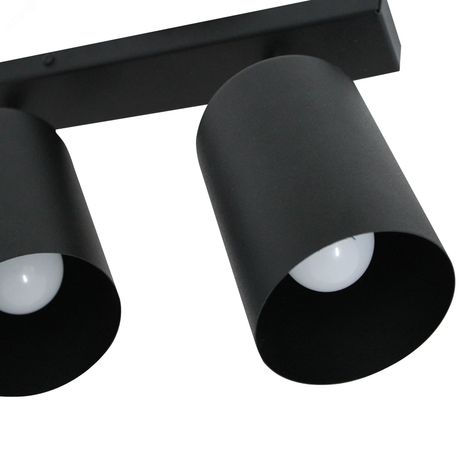 Светильник Спот НПБ 01-2х60-513 черн.матовый/черный ИУ - 1005404519 Элетех