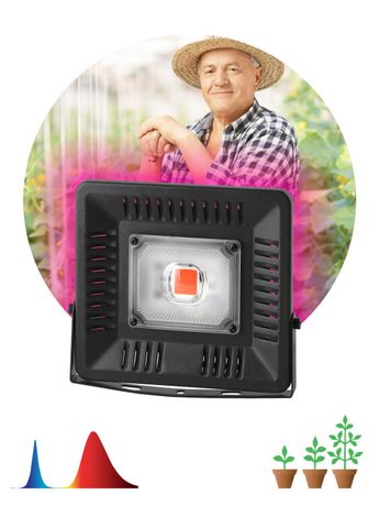 Прожектор светодиодный для растений FITO-50W-LED BLUERED 50Вт IP65 220-240В -30град. до + 45град. 30000ч цветения и плодоношения красно-синего спектра ЭРА Б0039033