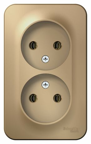 Розетка 2-м ОП Blanca 16А IP20 250В без заземл. защ. шторок титан SE BLNRA000204 APC