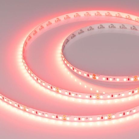 Светодиодная лента RT-A120-8mm 24V Scarlet (9.6 W/m, IP20, 2835, 5m) (Arlight, -) | 043383 Arlight