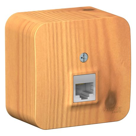 Розетка компьютерная 1-м ОП Blanca RJ45 кат.5E с изолир. пластиной ясень SE BLNIA045005 APC