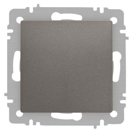 Выключатель одноклавишный, в рамку (скрытого монтажа) сталь 10А 250В винтовые зажимы Intro Accent 6-101-09 - Б0063440 ЭРА