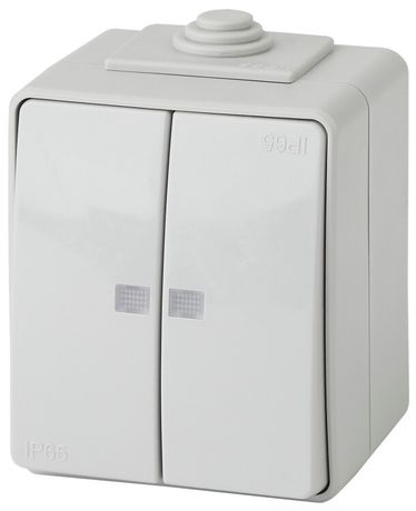 Выключатель двухклавишный наружный (открытой установки) с подсветкой IP65 серый 10А 250В винтовые зажимы ЭРА Эксперт 11-1605-03 - Б0035977