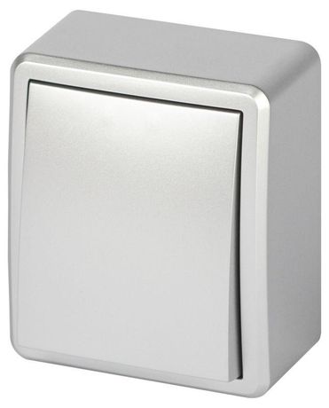 Выключатель одноклавишный наружный (открытой установки) IP 20 алюминий 10А 250В винтовые зажимы ЭРА Эксперт 11-1201-03 - Б0063014