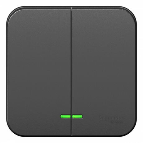 Выключатель 2-кл. ОП Blanca 10А IP20 (сх. 5) 250В с подсветкой антрацит SE BLNVA105106 APC