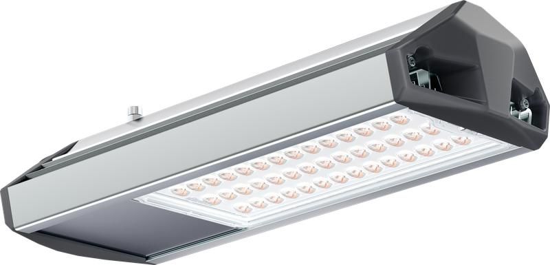 Светильник светодиодный РУС ДКУ 02 70 750 ШБ ЕСАУЛ IP66/67 уличный Технологии света УТ000026419