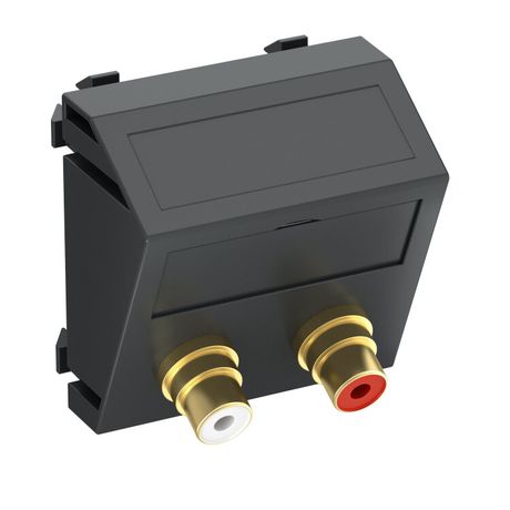 Мультимедийная рамка Audio-Cinch Modul45 (черный) (MTS-2R F SWGR1) | 6105081 OBO Bettermann