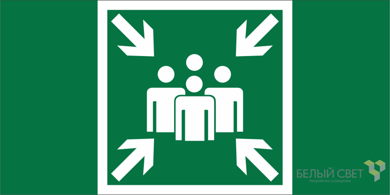 Знак безопасности NPU-2110.E21 "Пункт (место) сбора" Белый свет a20375 BS