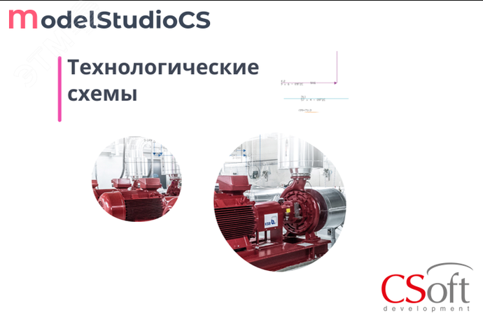 Право на использование программного обеспечения Model Studio CS Технологические схемы (3.x, локальная лицензия (1 год)) - MSSC3L-CT-10000000 Нанософт АО