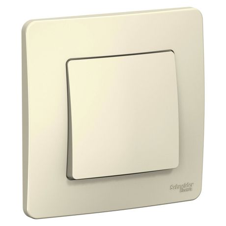 Переключатель проходной 1-кл. СП Blanca 10А IP20 (сх. 6) 250В молочн. SE BLNVS010602 APC