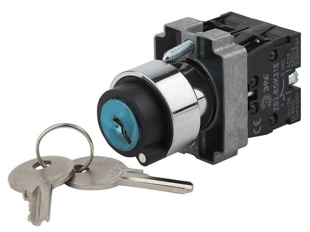 Переключатель LAY5-BG45 на 2 положения с ключом без фиксации (20/200/4000) | Б0045688 ЭРА