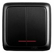 Выключатель открытой установки, двухклавишный, с индикацией, изолирующей пластиной, цвет черный | ВА10-154-08 HEGEL