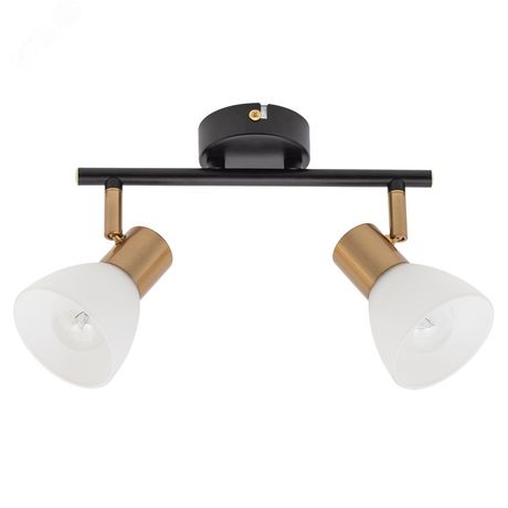 Спот FALENA E14 2х40Вт Металл Чёрный - A3117PL-2BK Arte Lamp