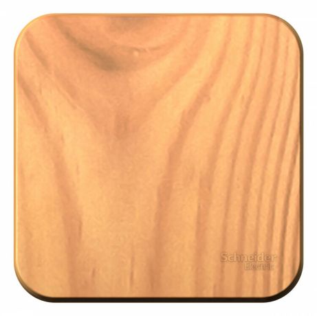 Выключатель одноклавишный наружный BLАNCА (cх.1) с самовозвратом, изолирующей пластиной, 10А, 250В, ясень - BLNCA101015 APC