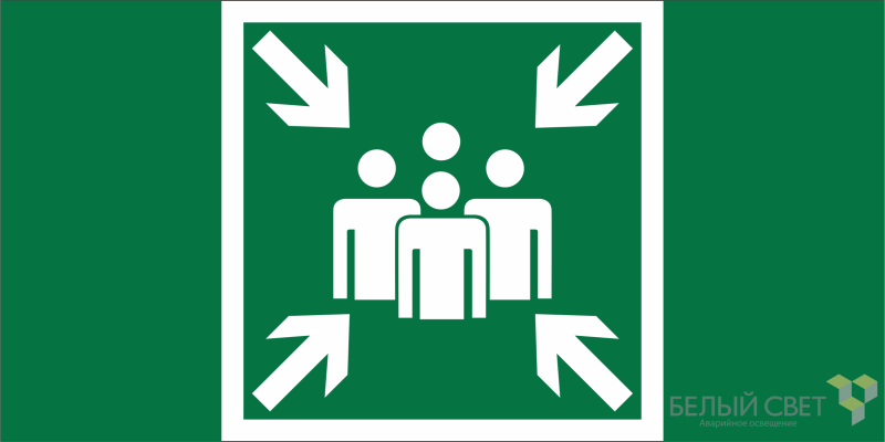 Знак безопасности NPU-7035.E21 "Пункт (место) сбора" Белый свет a20443 BS