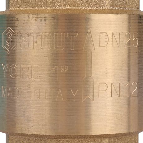 Клапан обратный пружинный муфтовый 1' с пластиковым седлом - RG008T8CKQH3T9 STOUT SVC-0012-000025