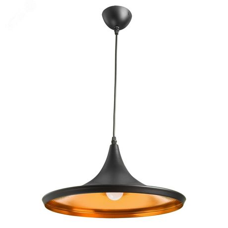 Светильник подвесной CAPPELLO E27 1х40Вт Металл Чёрный - A3406SP-1BK Arte Lamp