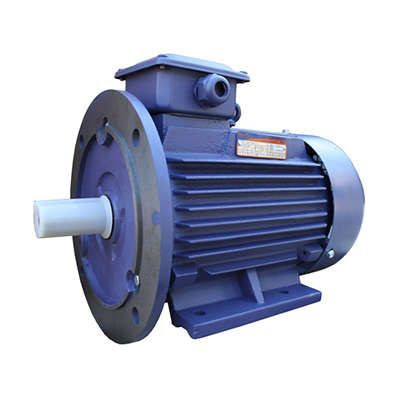 Электродвигатель (5АИ) 100 S4 3,0кВт 1500 об./мин. IM 2081 (комби) | 01.01.213557 Элком ОРЛАН