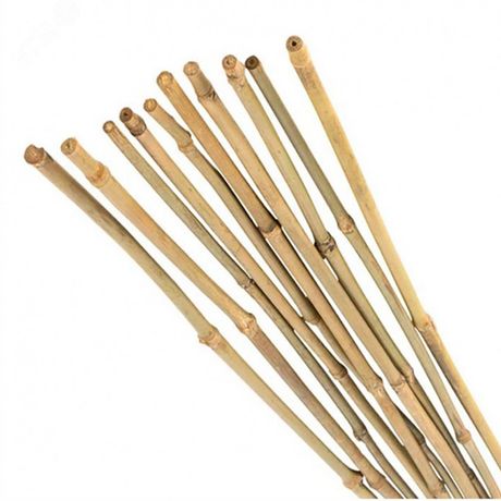 Поддержка бамбуковая 75см 8мм набор 5шт GBS-8-75 - Б0008330 ЭРА