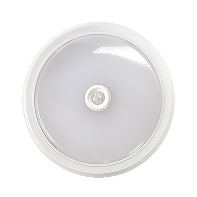 Светильник светодиодный СПБ-2Д-КРУГ 20Вт 230В 4000К 1400лм 250мм с настраиваемым датчиком белый | 4690612020709 IN HOME