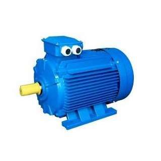 Электродвигатель (5АИ) 132 М6 7,6кВт 1000 об./мин. IM 1081 (лапы) | 01.01.214564 Элком ОРЛАН