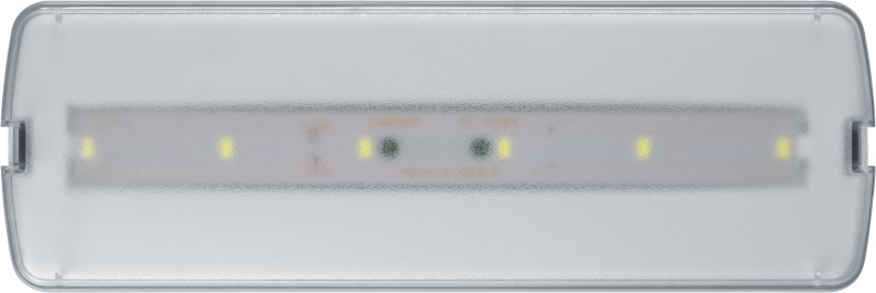 Светильник светодиодный 95 294 NEF-21 5Вт 300лм 220-240В IP20 акк. LiFePO4 1800мА.ч аварийно-эвакуационный NAVIGATOR 95294
