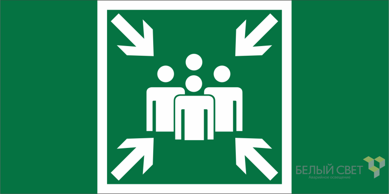 Знак безопасности BL-4020.E21 "Пункт (место) сбора" Белый свет a20242 BS