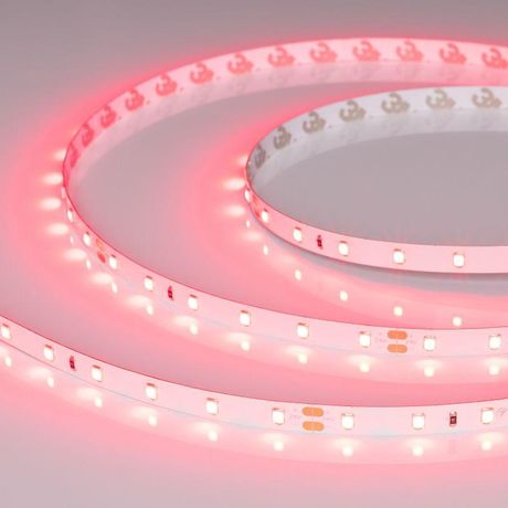 Лента светодиодная 4.8 Вт/м 24В Рубиновый IP65 60LED/м RT-A60-8-11mm SMD 2835 5 м - 055374 Arlight