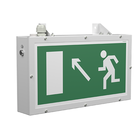 Указатель световой BS-FLAGMAN-53-S1-INEXI3 Белый свет a15668