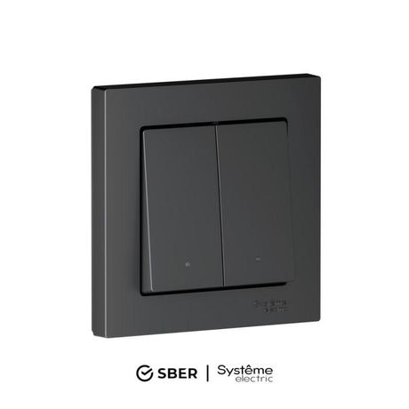 Выключатель 2-кл. AtlasDesign Smart 10А (сх. 5) L+N с подсветкой Zigbee механизм карбон SE ATN001053Z APC