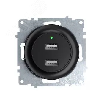 Розетка USB двойная, с подсветкой, цвет черный | 2260092 ССТ