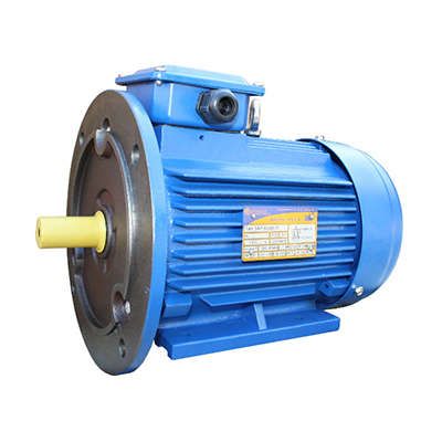 Электродвигатель (5АИ) 90 LB8 1,1кВт 750 об./мин. IM 2081 (комби) | 01.01.213637 Элком ОРЛАН