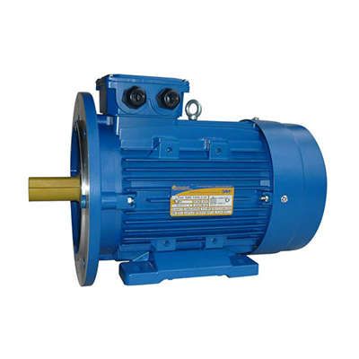 Электродвигатель (5АИ) 100 L6 2,2кВт 1000 об./мин. IM 2081 (комби) | 01.01.213620 Элком ОРЛАН