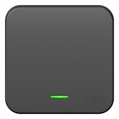 Переключатель одноклавишный наружный BLАNCА (cх.6) с подстветкой, изолирующей пластиной, 10А, 250В, антрац - BLNVA106116 APC