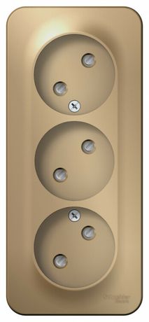 Розетка 3-м ОП Blanca 16А IP20 250В без заземл. защ. шторки с изолир. пластиной титан SE BLNRA001314 APC