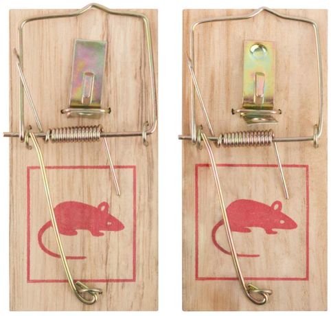 Мышеловка деревянная малые 100х45мм (уп.2шт) FIT 67800 РОС