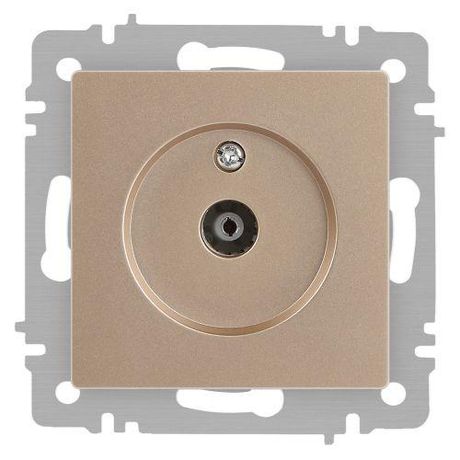 Розетка телевизионная одиночная TV СП Accent 6-301-04 IP20 шампань Intro Б0063609 ЭРА
