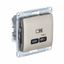 Розетка USB Glossa тип C 65Вт QC PD высокоскор. ЗУ механизм титан SE GSL000427 APC