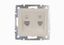 Розетка компьютерная + телефонная 2-м СП Rain RJ45 RJ11 16А IP20 механизм крем. LEZARD 703-0388-143