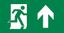 Пиктограмма (наклейка) "ВЫХОД/стрелка вверх" PVC для ССА 3000 IEK | LPC10-2-30-15-VVERH