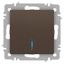 Выключатель одноклавишный, в рамку (скрытого монтажа) с подсветкой бронза 10А 250В винтовые зажимы Intro Accent 6-102-08 - Б0063463 ЭРА