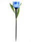 Светодиодный садовый светильник на солнечной батарее СОЛАР USL-C-454/PT305 BLUE TULIP - UL-00004279 Uniel