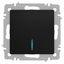 Выключатель одноклавишный, в рамку (скрытого монтажа) с подсветкой антрацит 10А 250В винтовые зажимы Intro Accent 6-102-05 - Б0063431 ЭРА