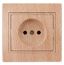 Розетка 1-м СП Plano 1-201-11 16А IP20 250В 2P сосна Intro Б0030057 ЭРА