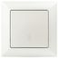 Переключатель Intro Solo 4-103-06 одноклавишный 10А-250В, IP20, СУ, перламутр | Б0053582 ЭРА